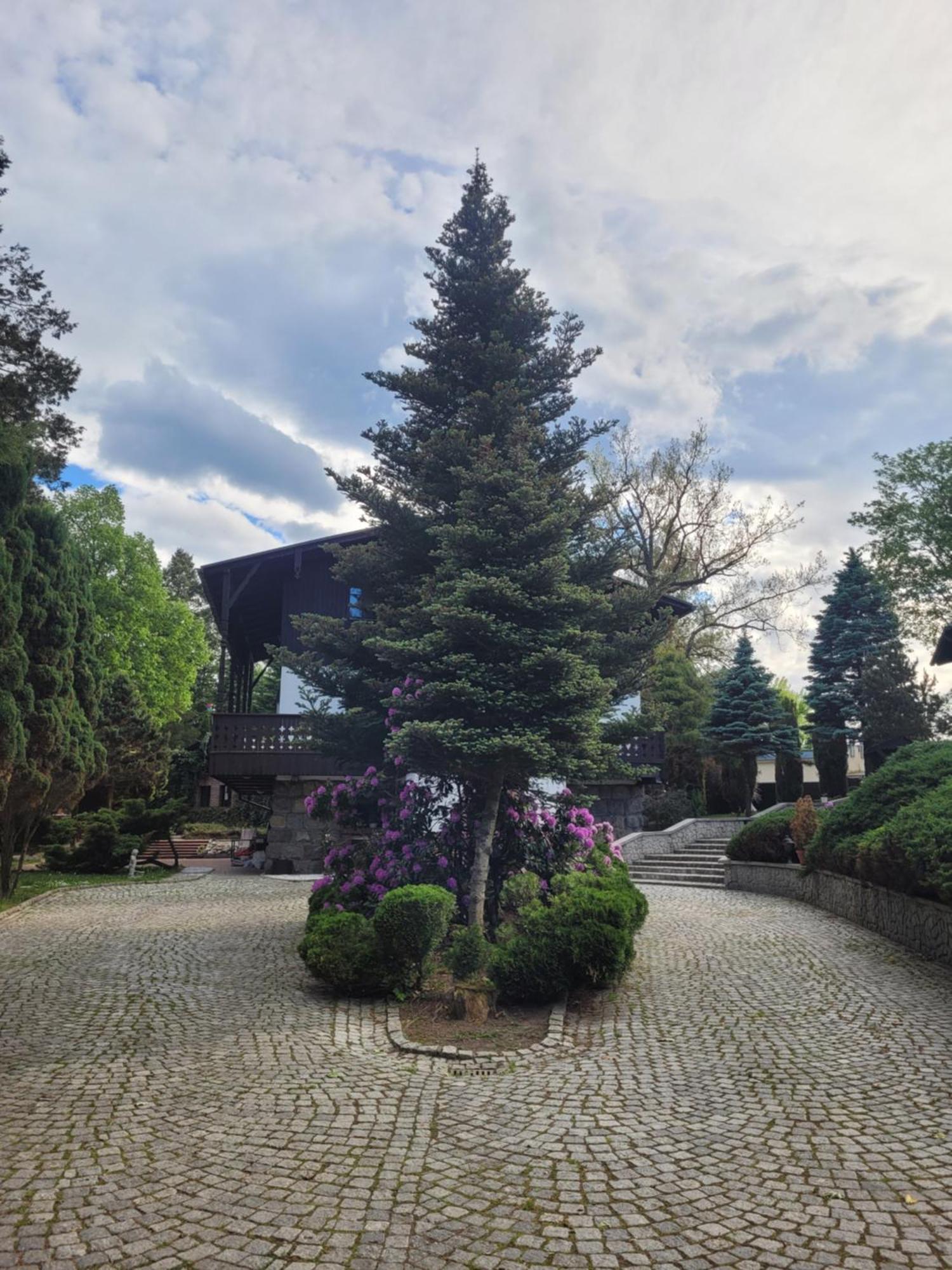 Gardenia Hotel Jelenia Góra Exterior foto