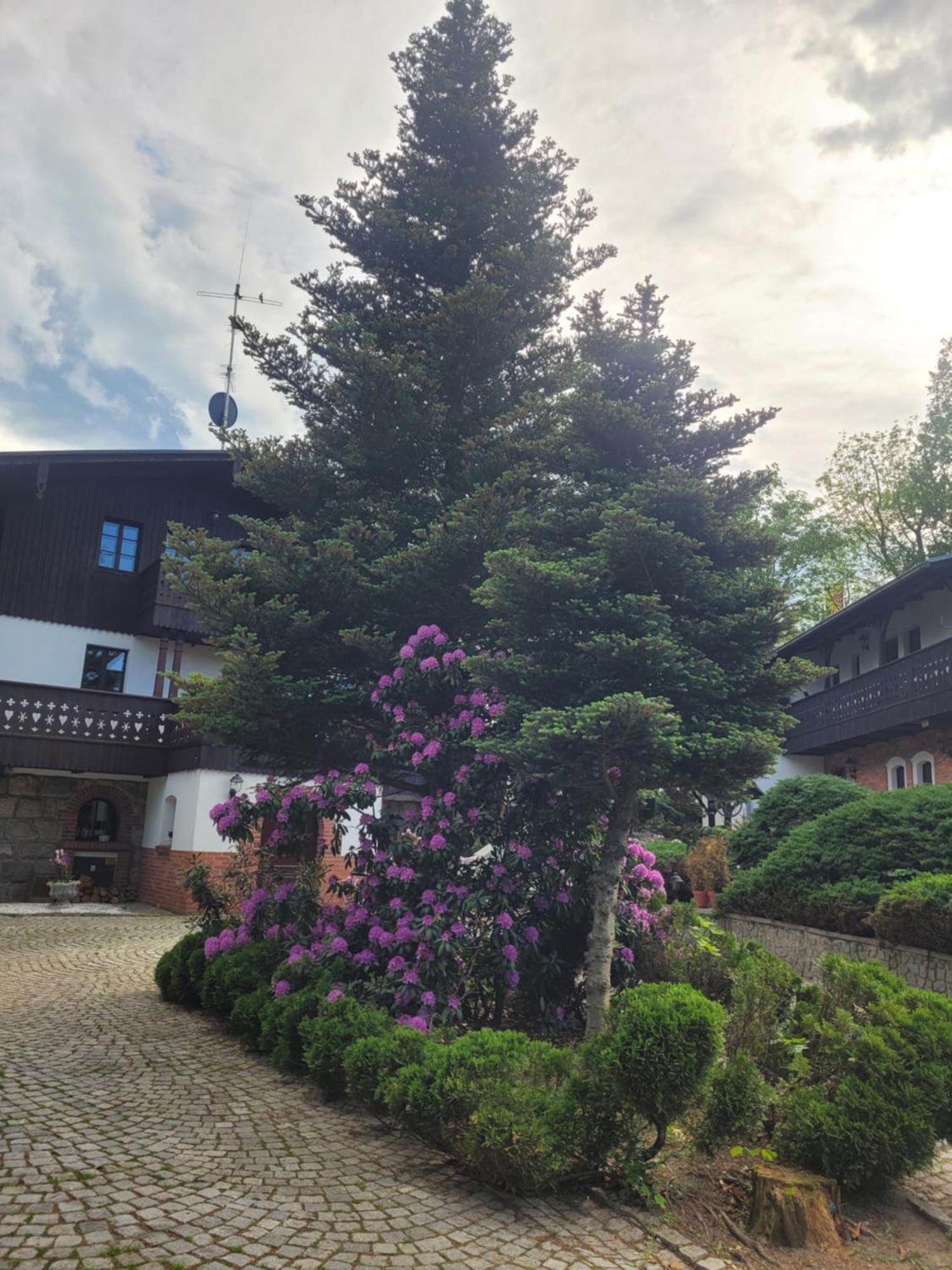 Gardenia Hotel Jelenia Góra Exterior foto